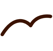 Midi à 14h - Fioriture décorative