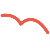 Midi à 14h - Fioriture décorative